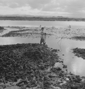 Picture of a boy shoveling mud surrounded by water.